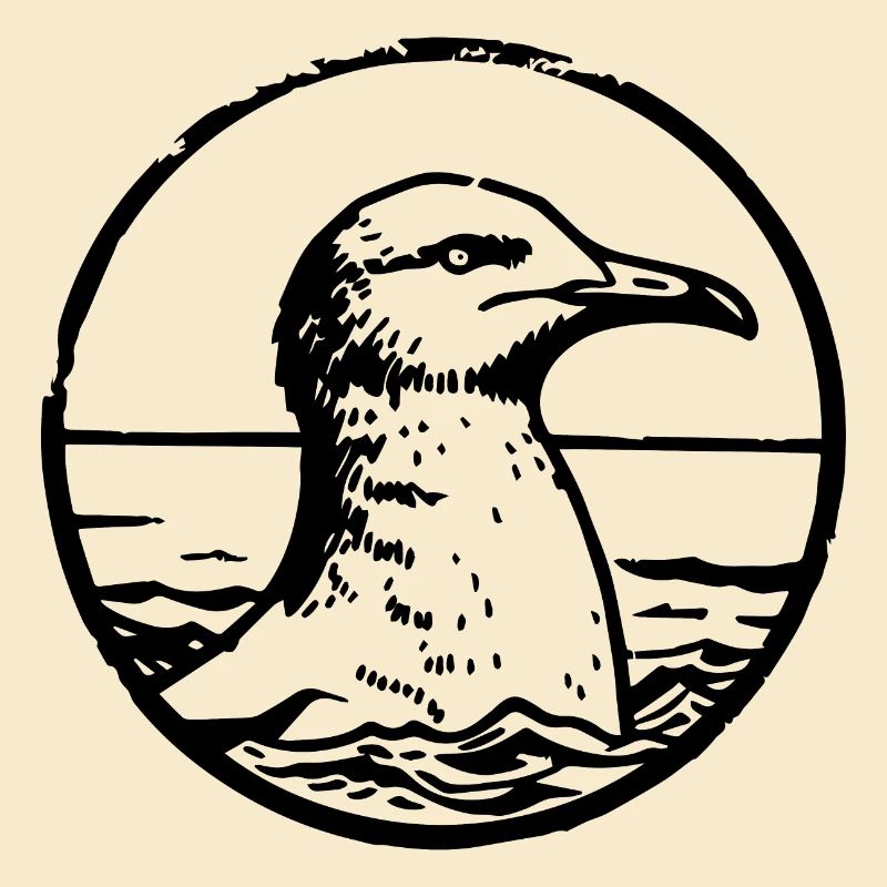 Möwe