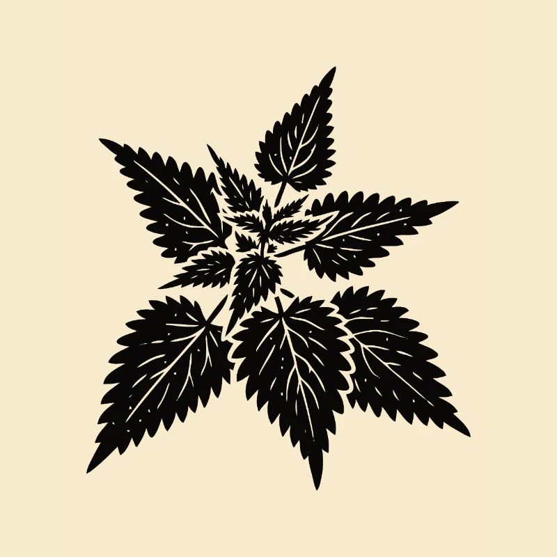 Conception simple de l’ortie – Wild & Healing