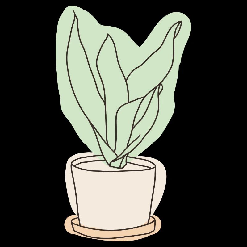 Agave