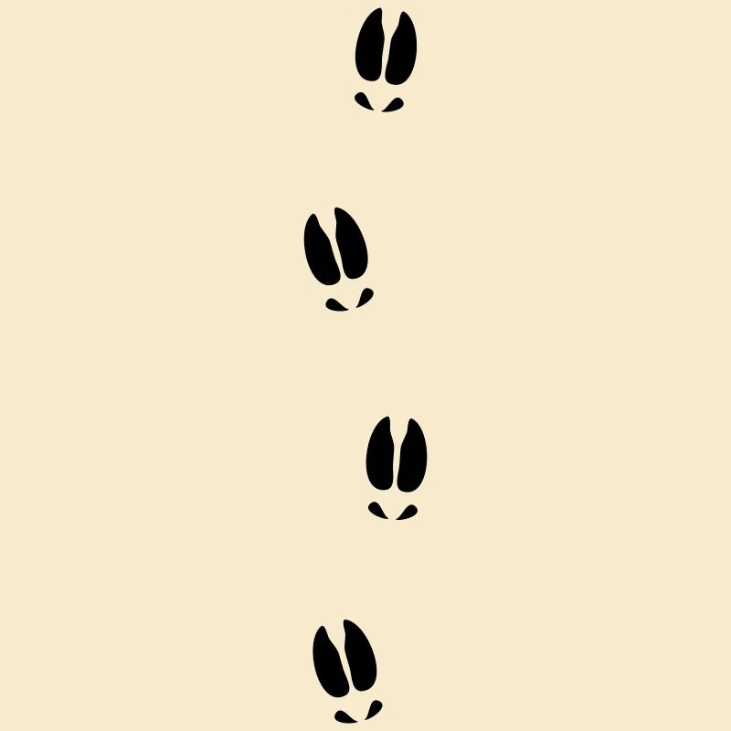 Moose tracks