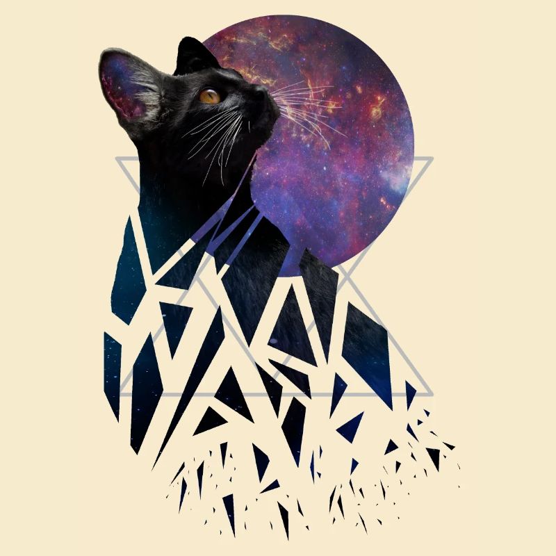 Chat de l’espace - série d’animaux de l’espace