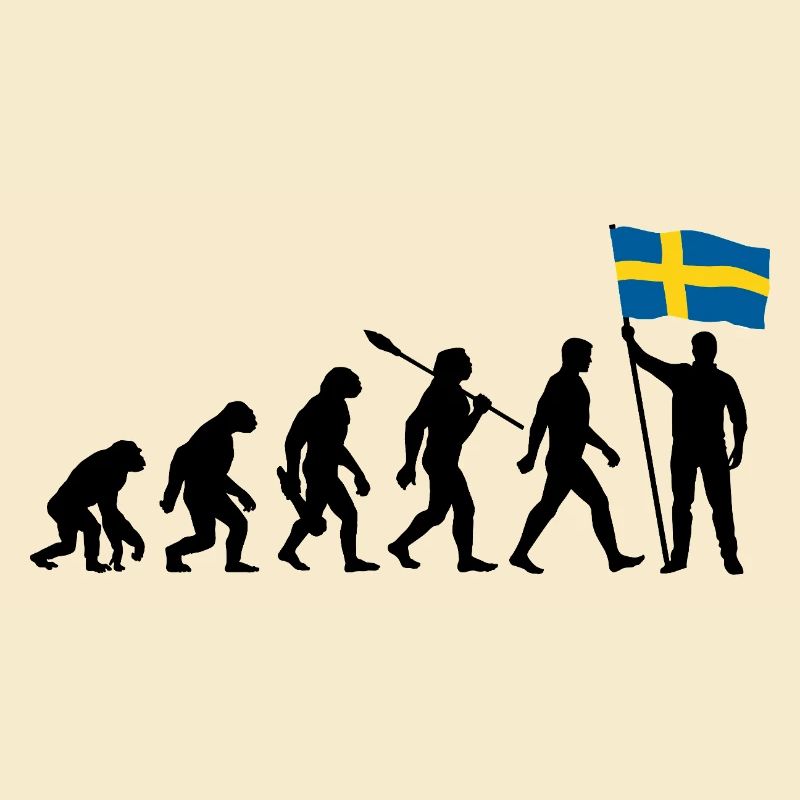 Suède - Evolution - Drapeau - Nation