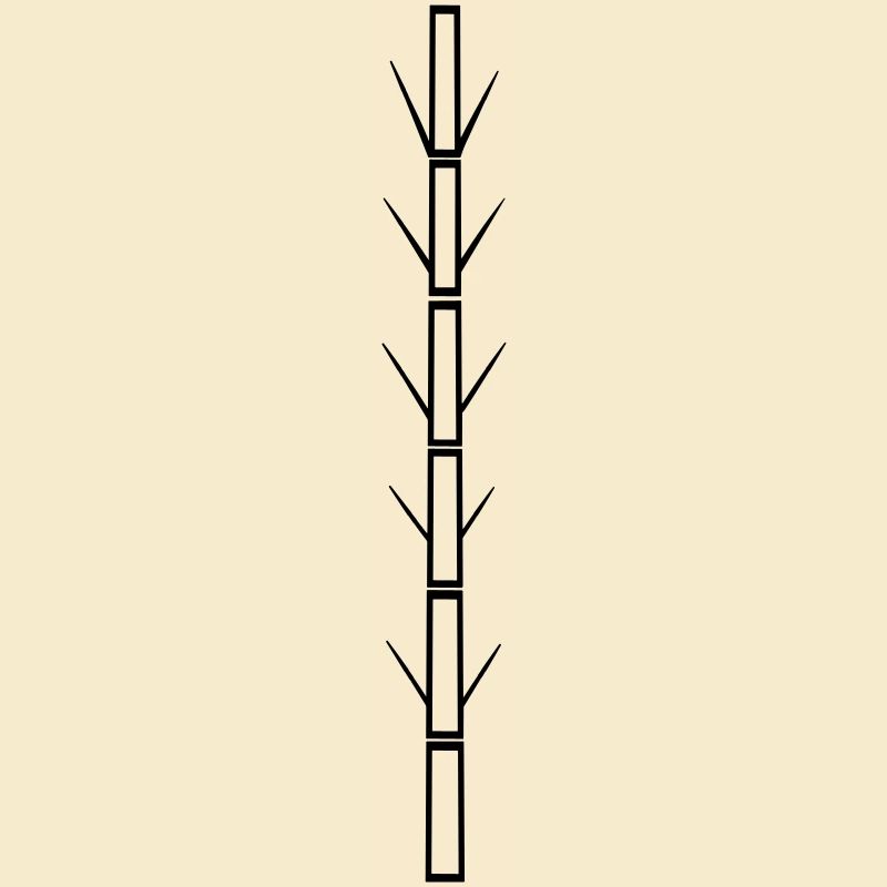 bamboo