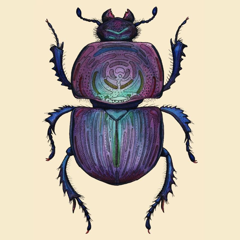 Big Beetle - Coléoptère géant