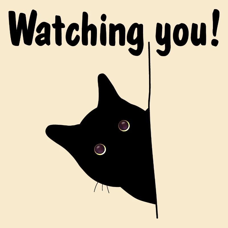 Le chat noir te regarde!