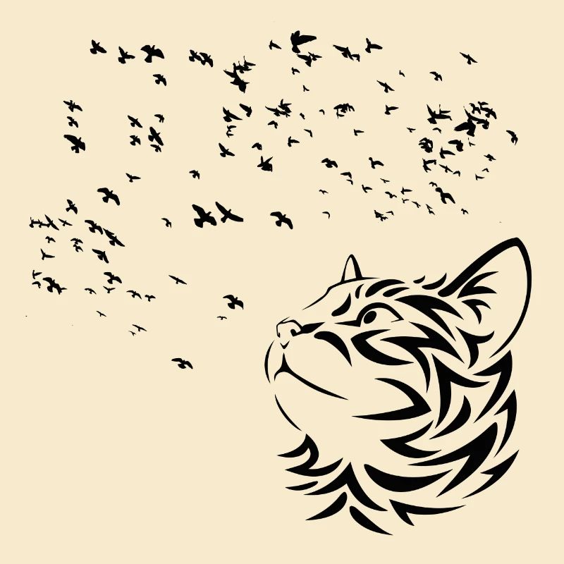 Chat regarde les Oiseaux volent