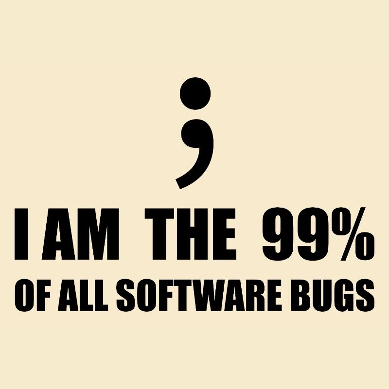 Informatiker, Programmierer