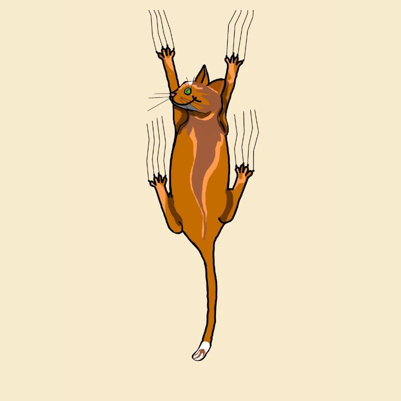 chat