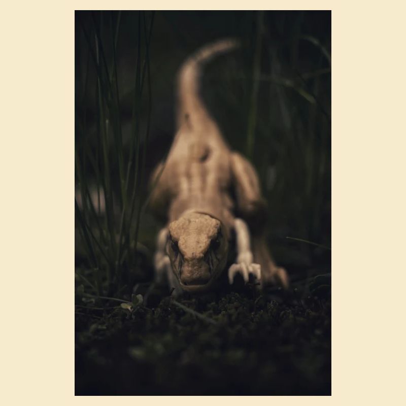 Raptor