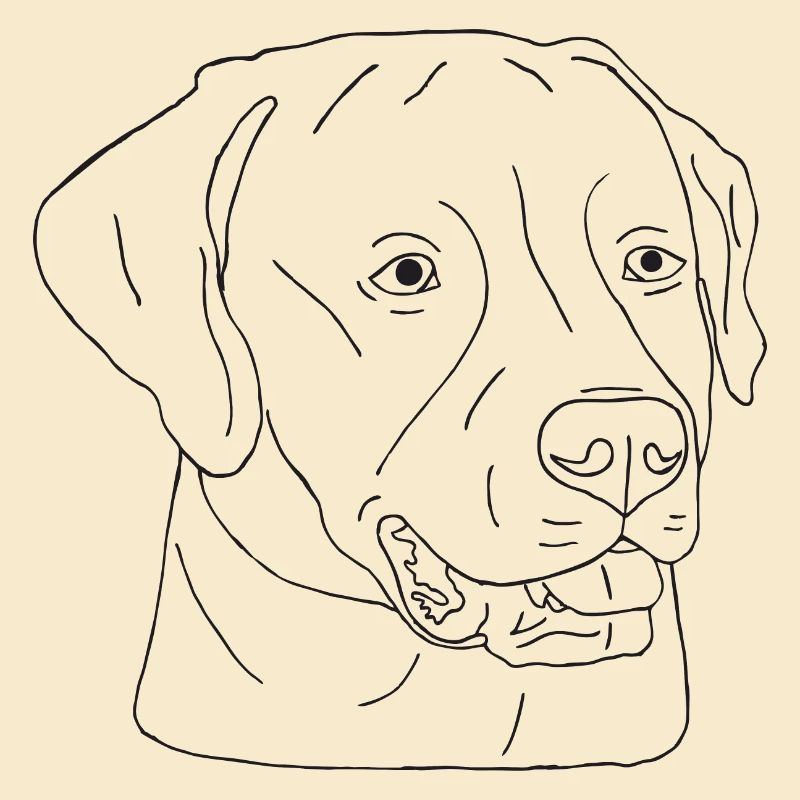 Labrador