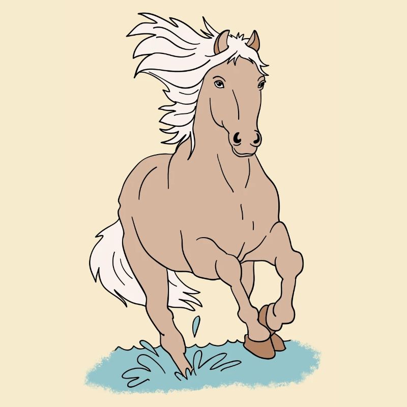 Pferd Pferde