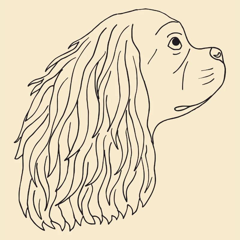 Cavalier King Charles Spaniel