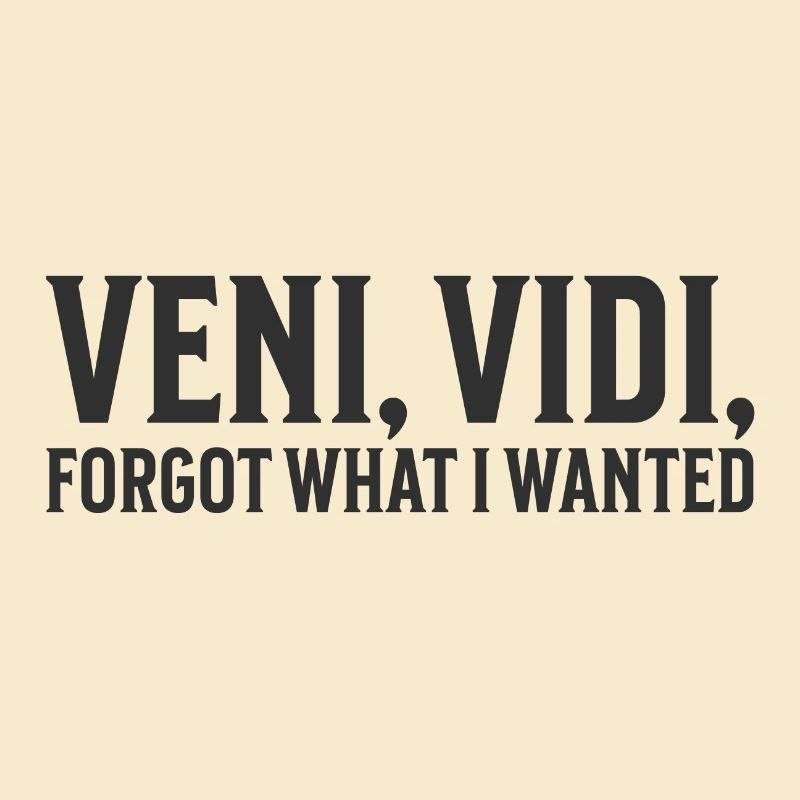 Veni, Vidi, Forgot What I Wanted