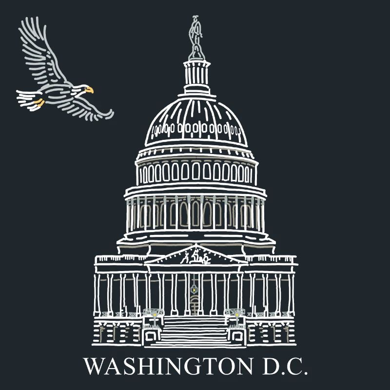 Washington D.C., Capitol Structure, Bald Eagle