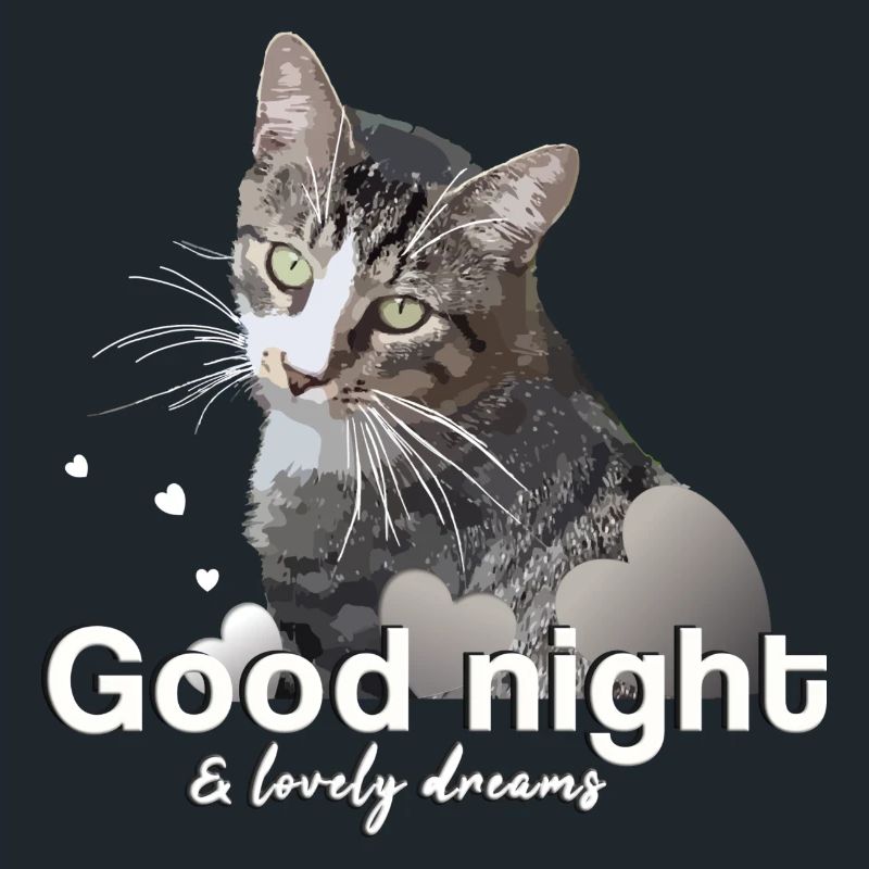 Schlafshirt gute Nacht good night