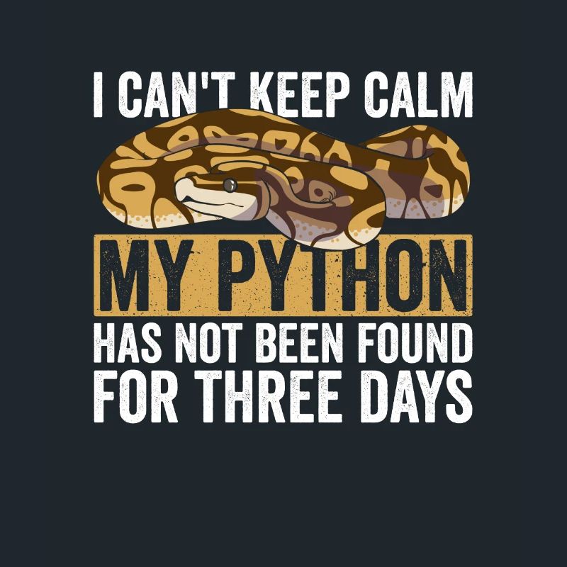 Königspython Banana Ball Python