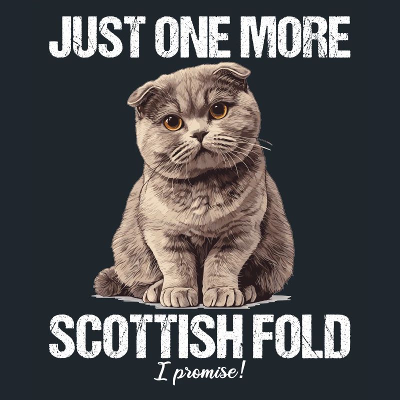 Scottish Fold Kitten Scottish Fold Cat