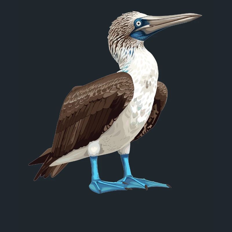Blue-footed booby