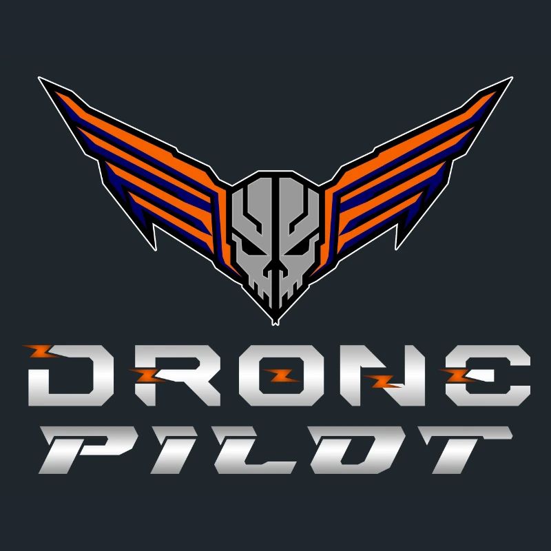 Drone Drones Drone Flight Drone Pilot