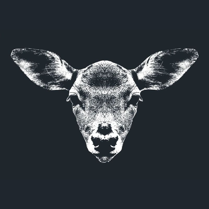 Deer portrait light