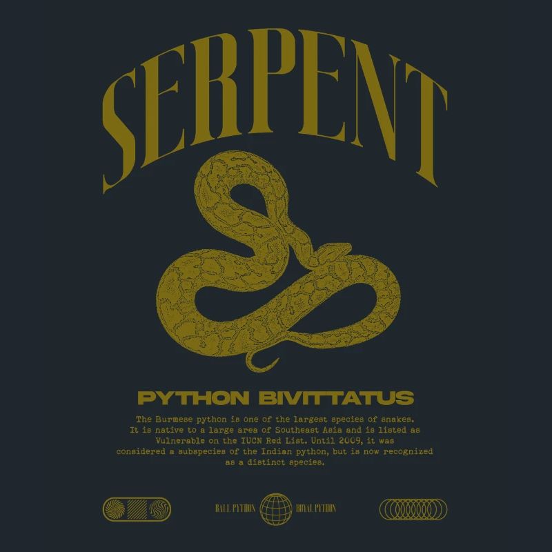 Burmese Python Modern Reptile Keeper Streetwear