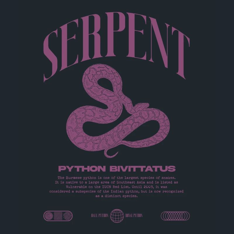 Burmese Python Modern Reptile Keeper Streetwear