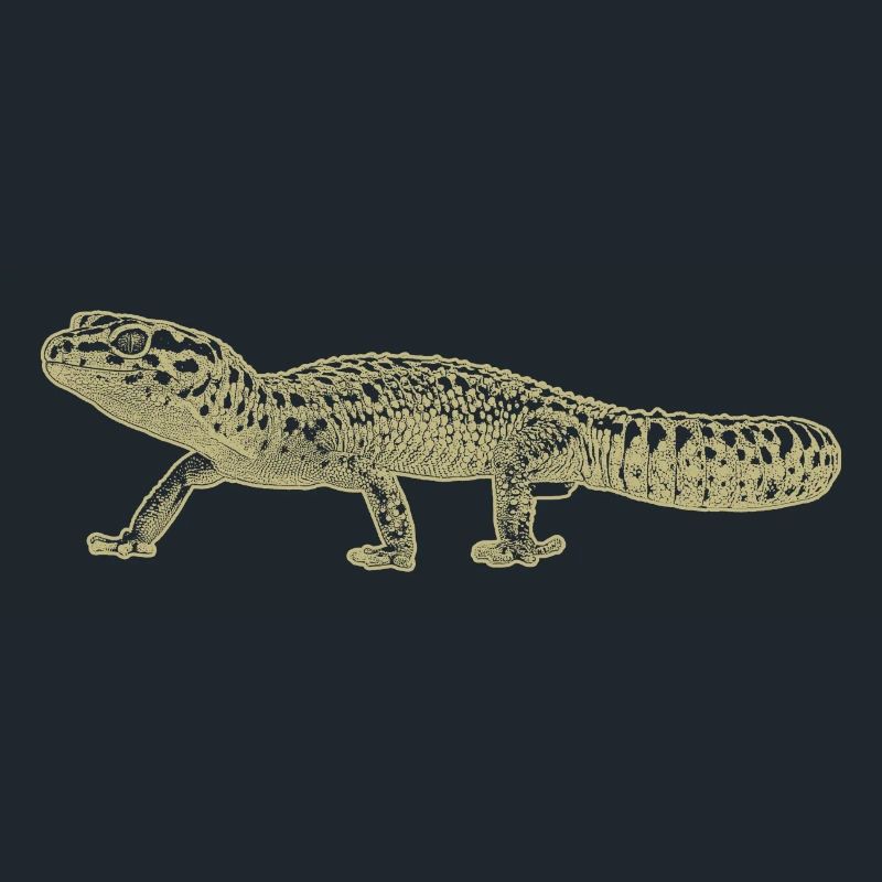 Leopard gecko