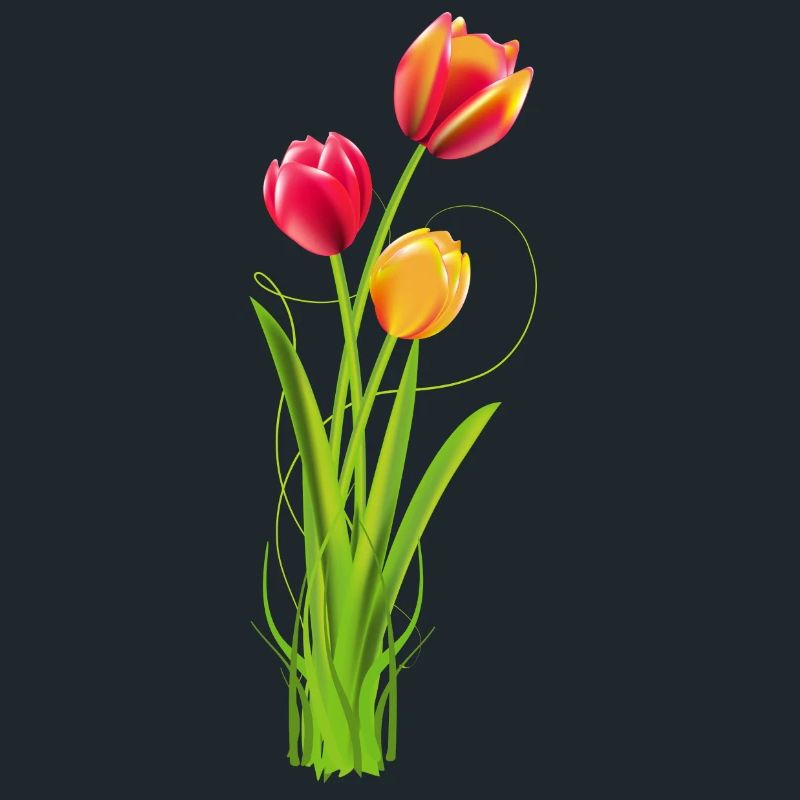 Three brightly coloured tulips as a spring bouquet