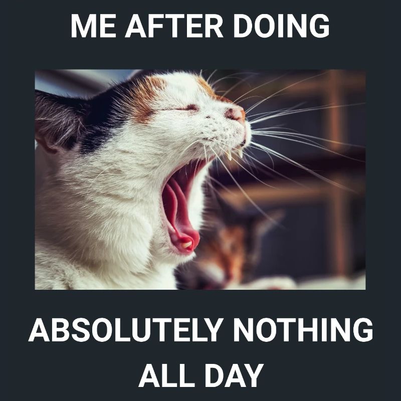 ME AFTER DOING ABSOLUTELY NOTHING ALL DAY