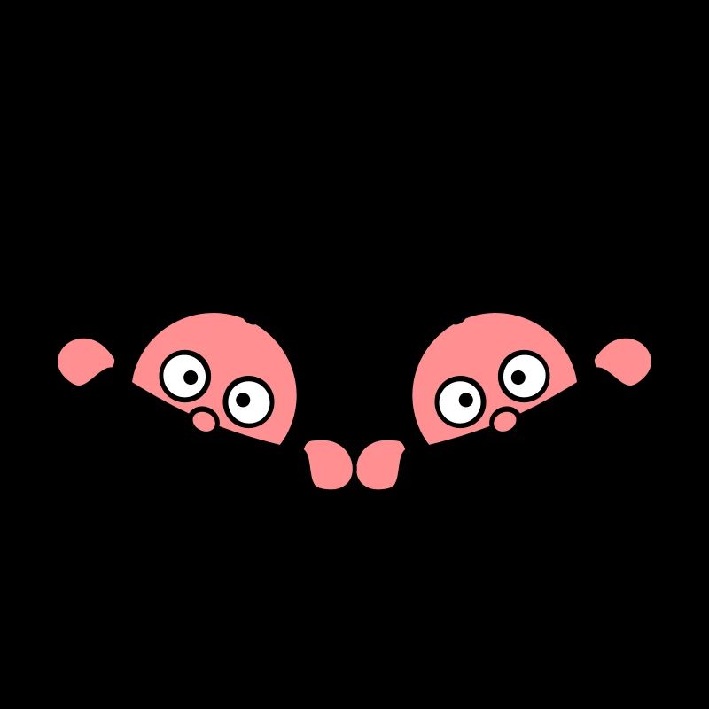 Twins Inside Zwillinge 2 Babys Schwanger Bauch