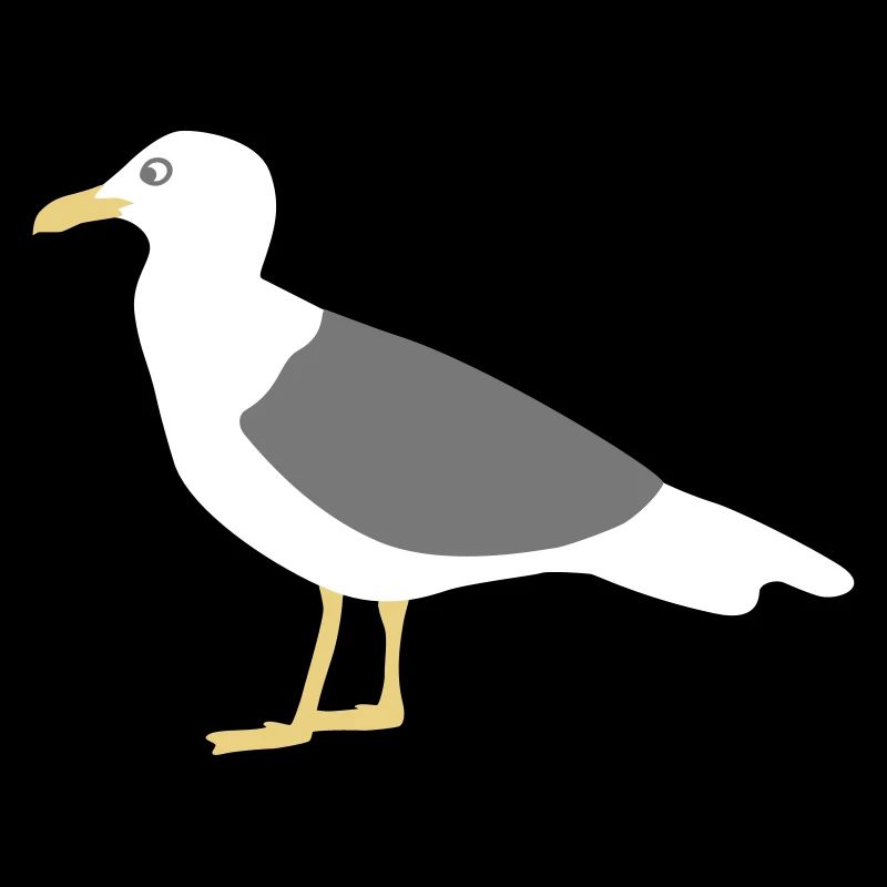seagull mouette