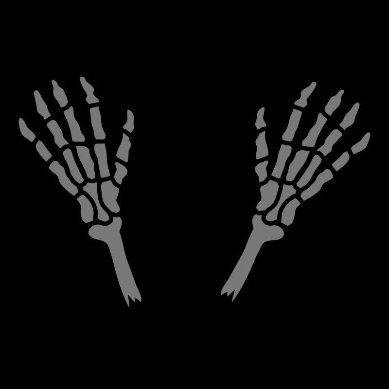 2 Skelett Hände Knochen