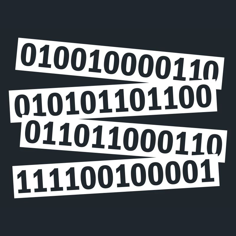 Binary Code Program Language