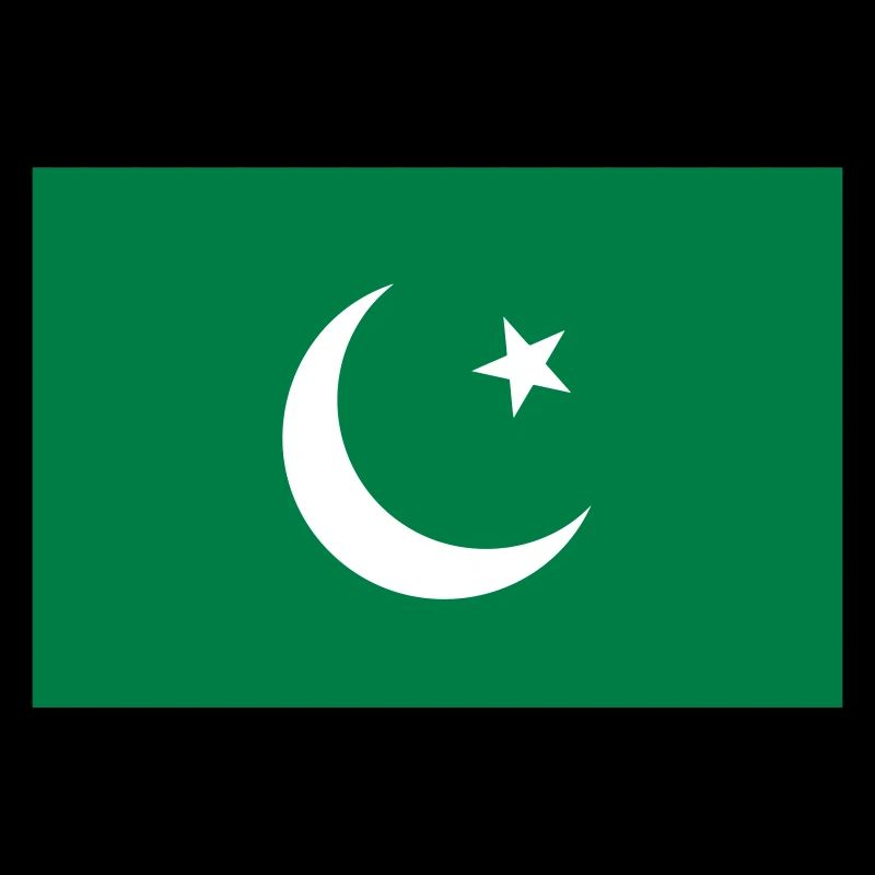 Pakistan flag / Drapeau Pakistan