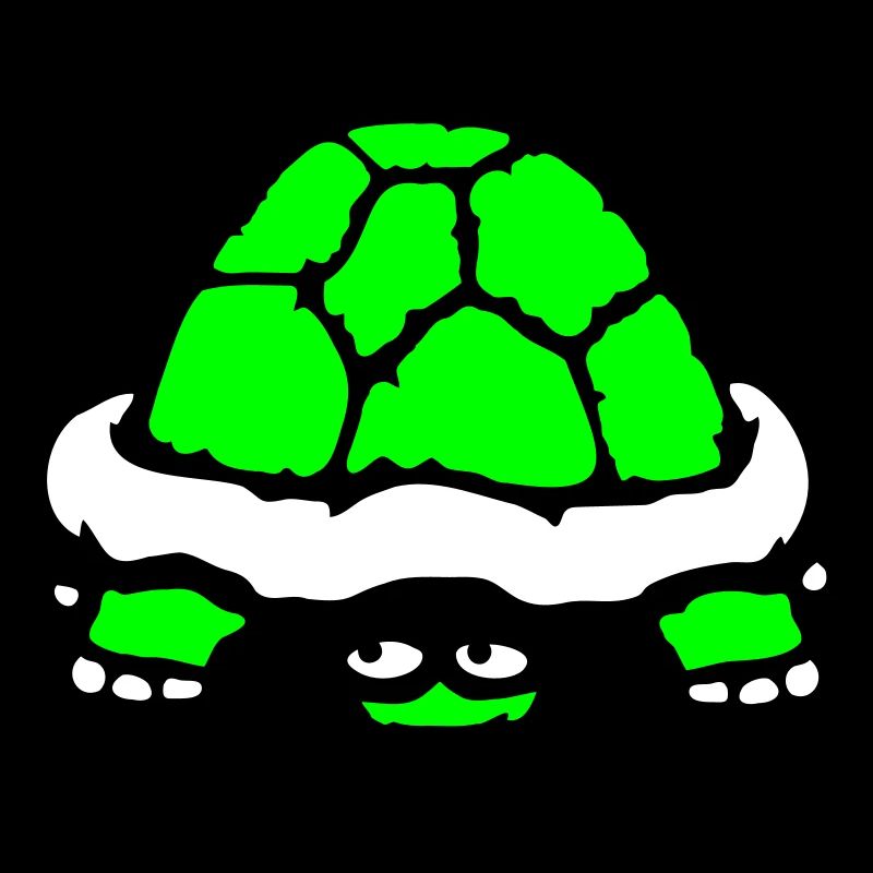 tortue cachée timide sourire drôle