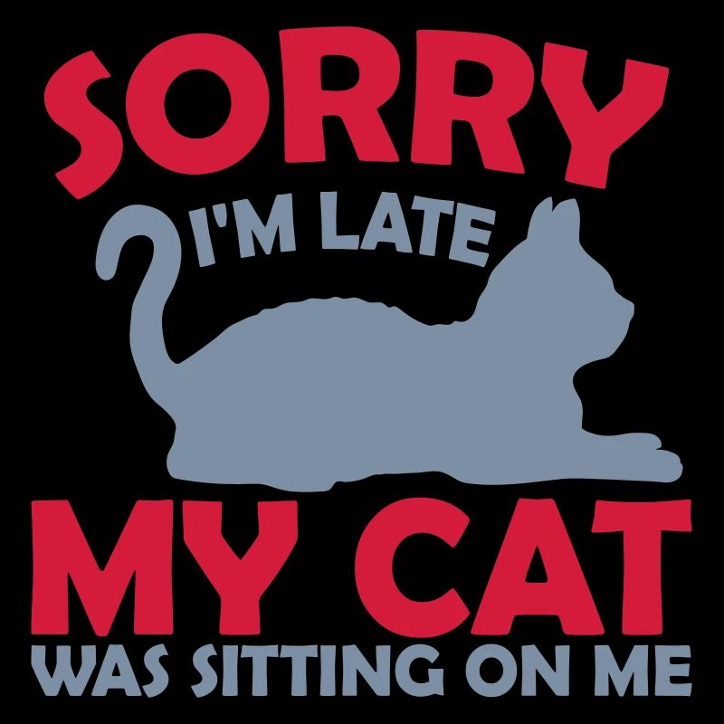 désolé chat était assis