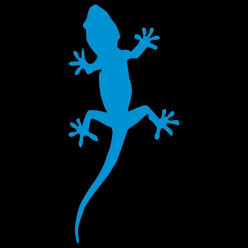 gecko 01