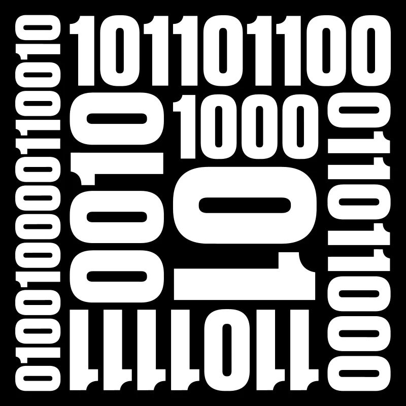 Langage de programme de code binaire