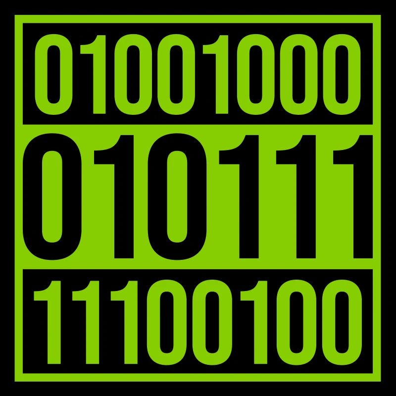 Langage de programme de code binaire