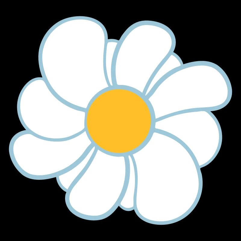 White Daisies Flowers Spring Summer Flowers