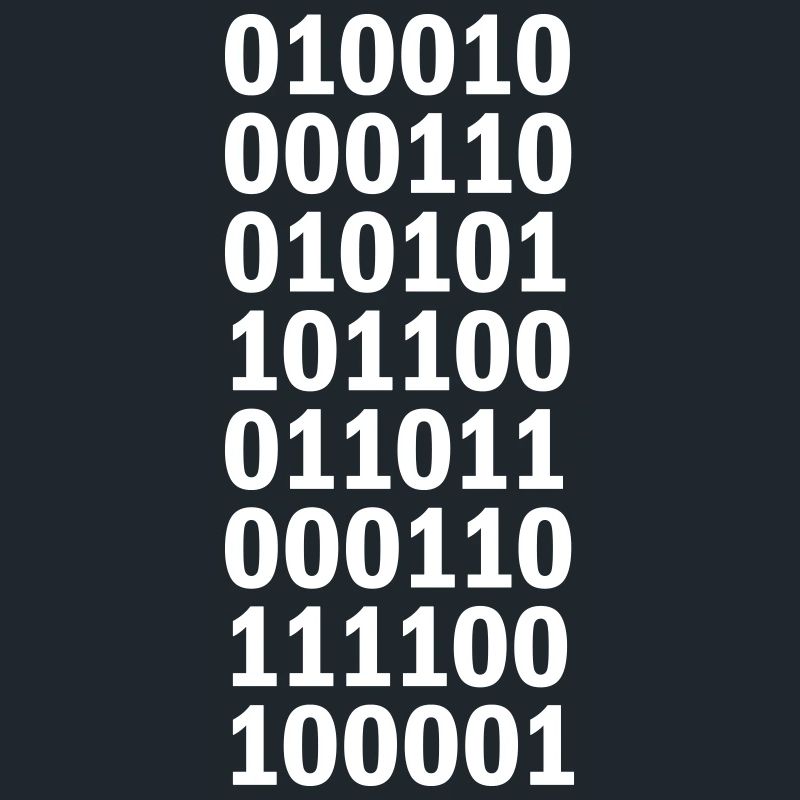 Binary Code Program Language