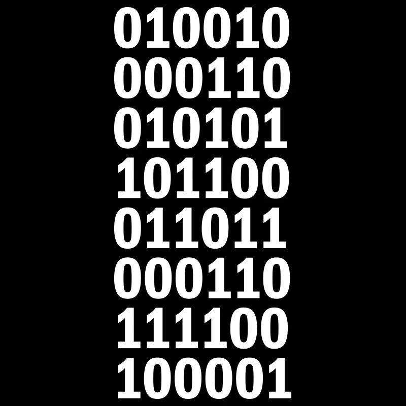 Langage de programme de code binaire