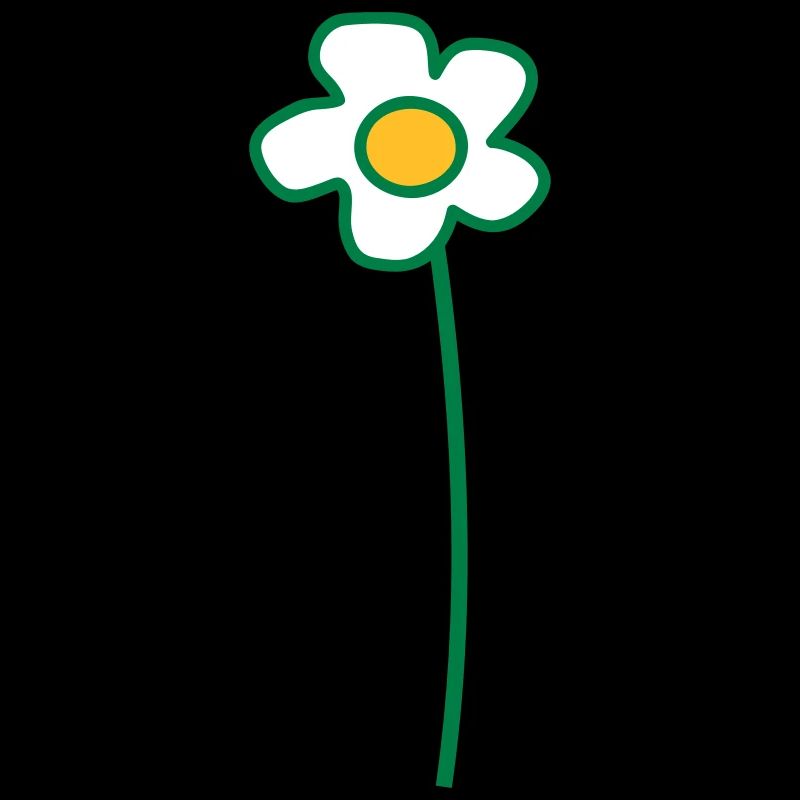 Weiße Margeriten Blume Frühling Sommer Blümchen