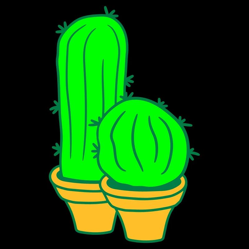 2 petits Cactus Cactus Épines Desert Pot de Fleurs