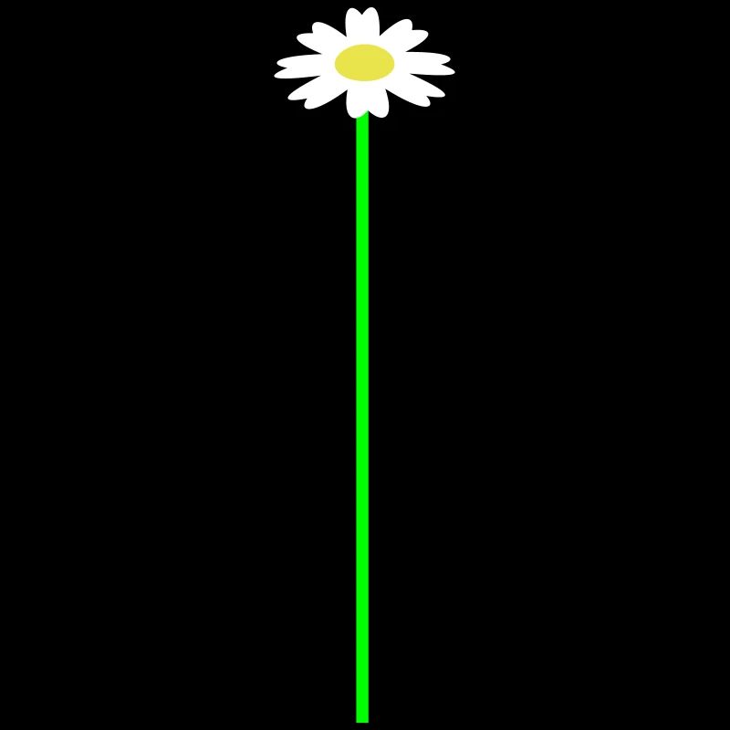 Small Marguerite Flower White Decorative Beautiful Nature
