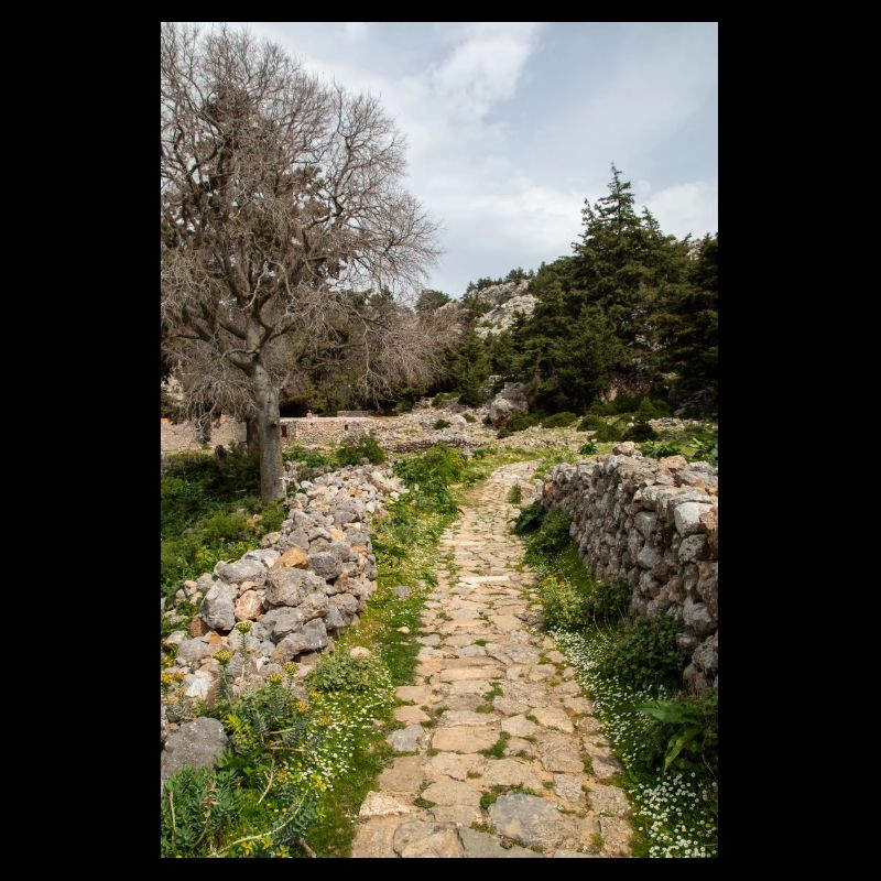 ruines du château médiéval Palio Pyli Kos