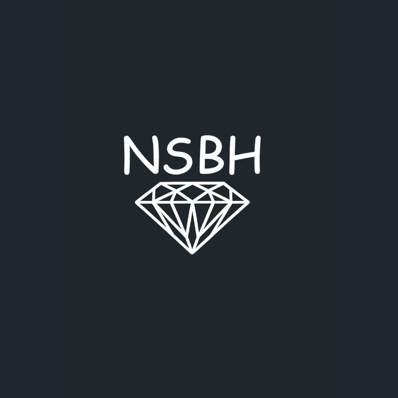 Conception du logo Noir Space BH (NSBH)