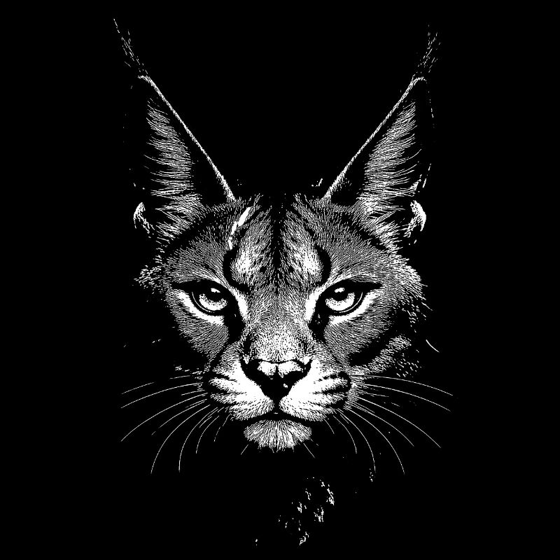 Caracal