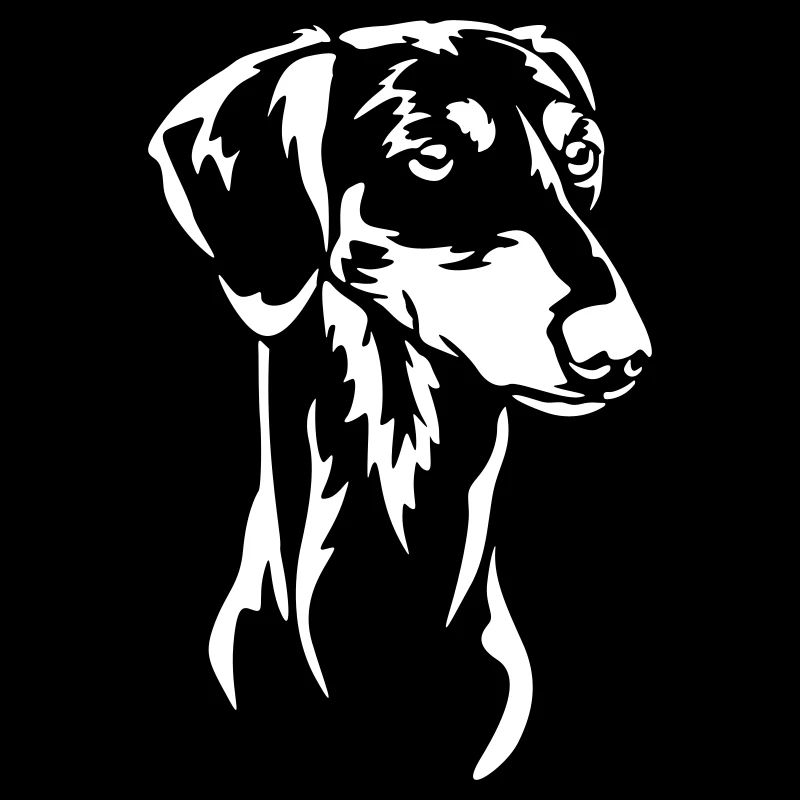 Saluki "Black Edition"