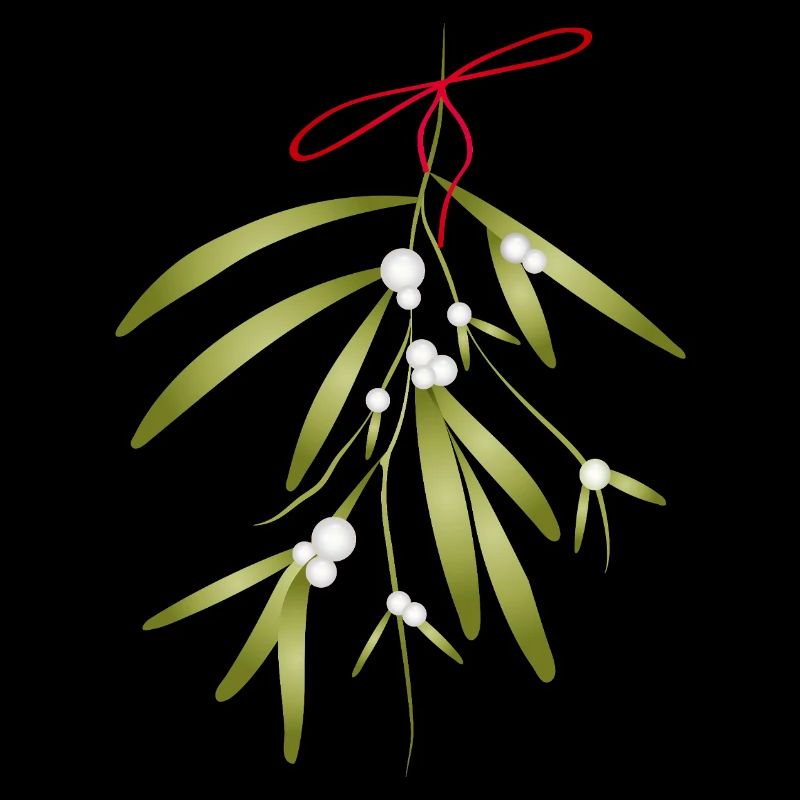 Gui et baies blanches illustrés de manière festive